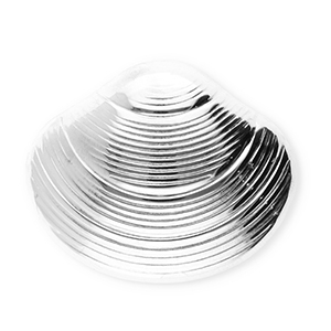 Stainless Steel - Rostfrei Stahl Statement Broschen Muschel Silver
