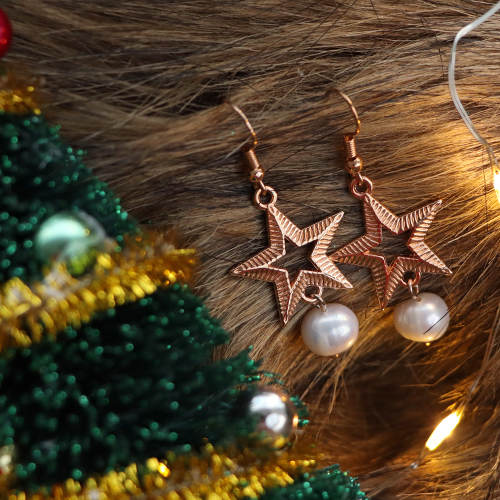 Lassen Sie sich inspirieren! Sehen Sie hier, wie Sie Ohrringe und Armb&auml;nder in einer Weihnachts- / Winteratmosph&auml;re herstellen: