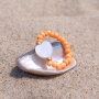 Jetzt Trendschmuck f&uuml;r den Sommer gestalten &ndash; mit Muschelperlen, Glasperlen und vielem, vielem mehr! 