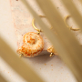 Beeindruckender Schmuck mit Ammonit-Perlen aus griechischer DQ-Keramik