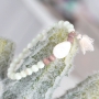 Mit diesen Muschel Perlen machen Sie den sch&ouml;nsten Schmuck f&uuml;r den Sommer